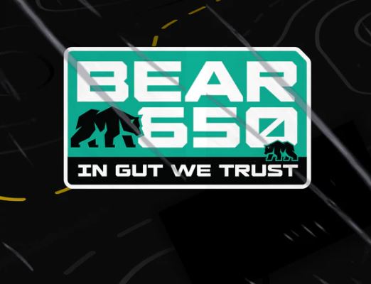 L2W - BEAR650 - BIKE STICKERS
